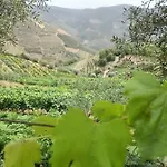 度假居 Quinta Da Laceira - Douro Valley - Local