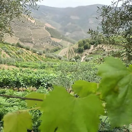 Tatil Evi Quinta Da Laceira - Douro Valley - Local