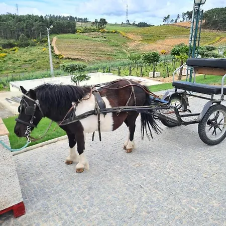 Quinta Da Laceira - Douro Valley - Local *