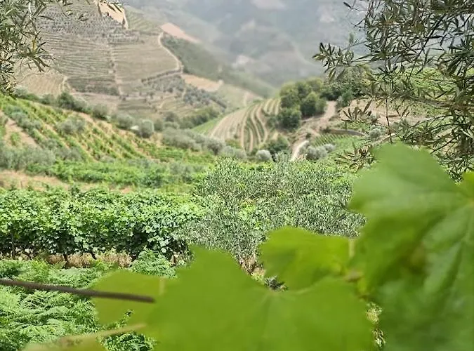 Сasa de vacaciones Quinta Da Laceira - Douro Valley - Local