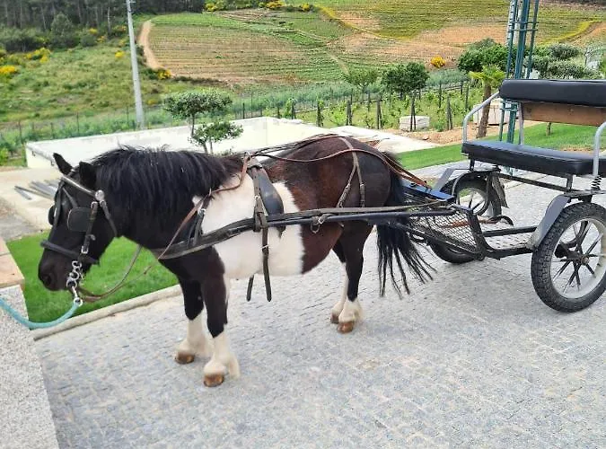 Quinta Da Laceira - Douro Valley - Local *